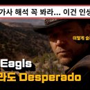 Eagls~~Desperado 이미지
