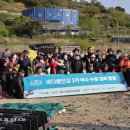 안도 이미지