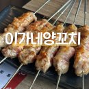 양재빌리지 | 양재역 회식 추천 서울 이가네양꼬치 직영점