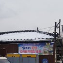 싱그레복집 이미지