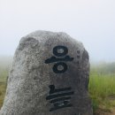 인제용늪추어전골 | [K2안양산악회] 100대명산 양구 인제 대암산 야생화 용늪 DMZ 탐방 및 산행코스