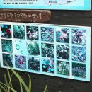 무릉2리마을회 이미지