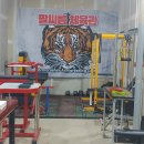 일산체육관 이미지