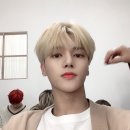 일일이육