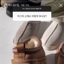 엘피디