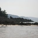 꾸지나무골해수욕장 이미지