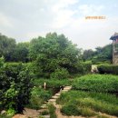 수원천로 407번길 이미지