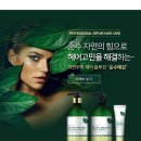순수예감