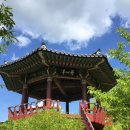 국립 민속국악원 자판기