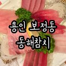 이담참치 | 용인오마카세 보정동 동해참치 코스 후기