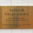 리베볼 이미지