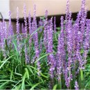 순희농장 이미지