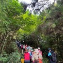 성읍리-10 이미지