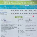 안덕면 용머리 공영주차장 입구 이미지