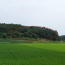 교동면-4 이미지