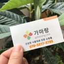 청송농산 이미지