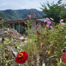 꿈나라민박 이미지