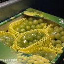 농부맘마트 이미지