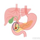 미래컴퍼니 (049950) 이미지