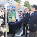 차 없는 거리 문화행사 이미지