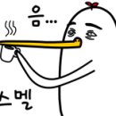 대솔식품