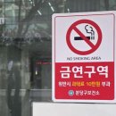 금연 TJB