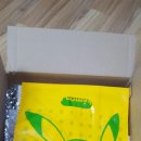 츄츄 트레인 후기/피카츄