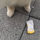 9번째 캠핑일지) 제천학현아름마을오토캠핑장 @C동