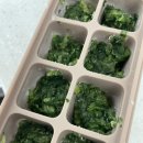 하김 | 초보엄마의 이유식 준비템 퍼기 이유식 큐브