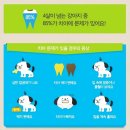 (주)아이펫브랜드 이미지