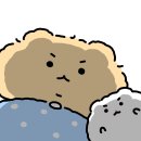 명인엔진써비스 | [KUSITSMS] 밋업 프로젝트 최종후기
