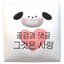 아이빌안경원 이미지