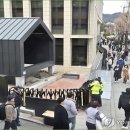 탄핵선고 앞두고 헌재안에 있는 600년된 천연기념물 &#39;서울 재동 백송&#39; 도 긴장