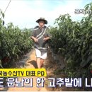 무안농약사