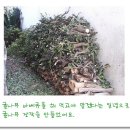 주식농장 이미지