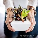 대덕실버타운