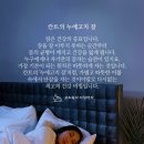 칸트의 누에고치 잠 이미지