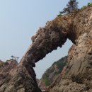코끼리펜션 이미지