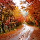 즐겨찾기공인중개사사무소 이미지