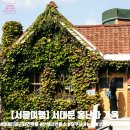 [서울여행] 서대문 홍난파가옥. 담쟁이넝쿨로 덮힌 인생사진 명소 with 카페 행촌7-1 내돈내산 후기