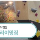 테크노클라이밍짐