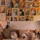 고영주택 이미지