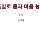 초록꿈디자인