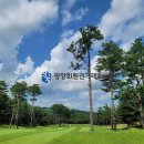 솔모로골프장 네이버블로그