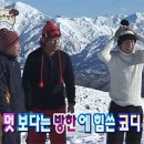 무도