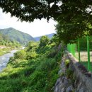 천금농장 이미지