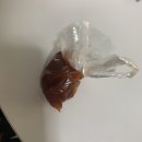 송파동 만두맛집 원산만두 후기