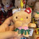 허니앤드빅 | 마우이 쇼핑 필수 코스! ABC 스토어 &amp; Foodland 푸드랜드! (기념품 쇼핑)