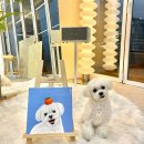 리미온 아트스튜디오 이미지