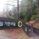 덕유산자연휴양림 이미지